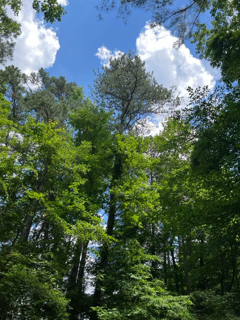 walking near me in Shelley Lake Park in winter