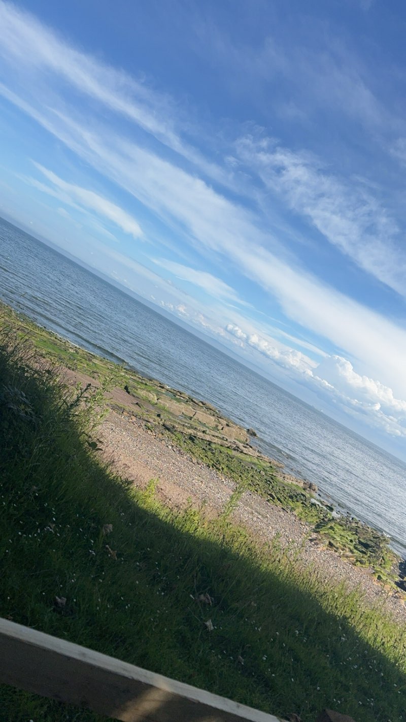 walking near me in Ravenscraig Park in winter
