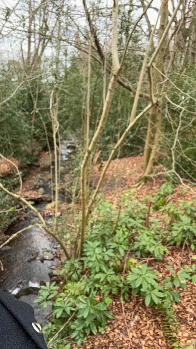 walking near me in Lomond Hills Regional Park in spring
