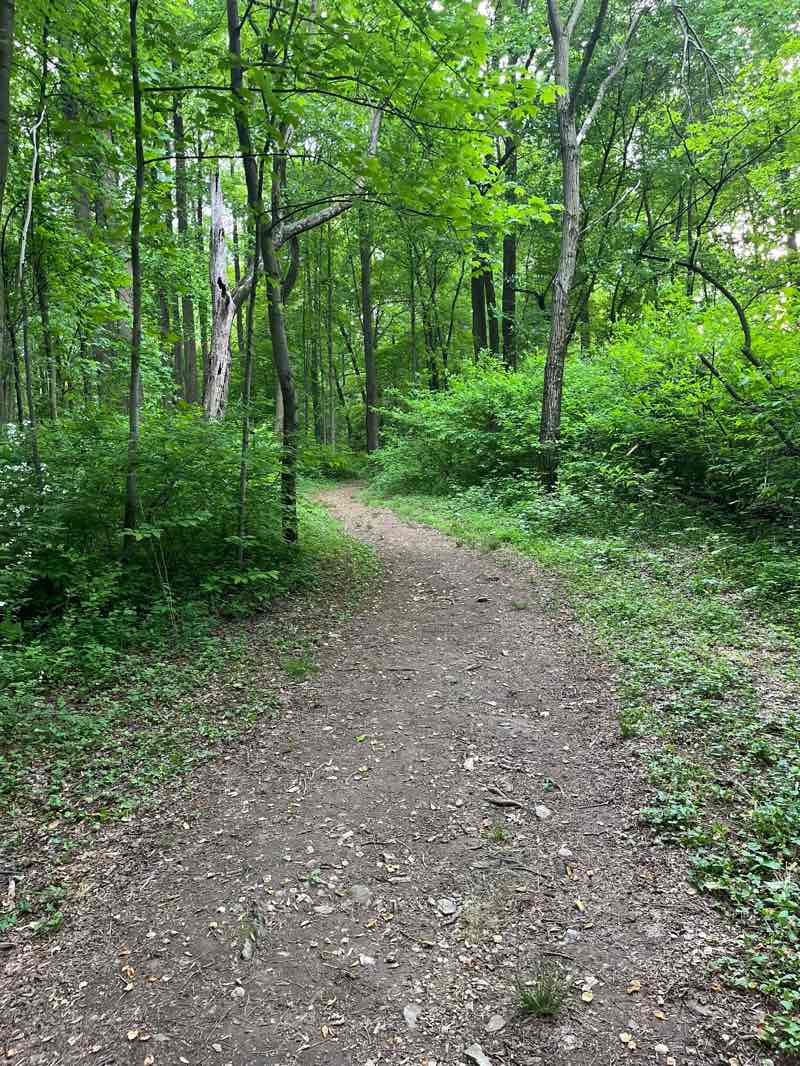 walking near me in East Fallowfield Township Park in winter