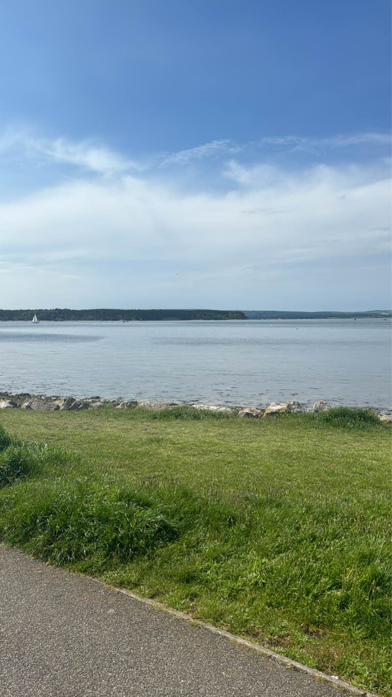 walking near me in Poole Park in winter