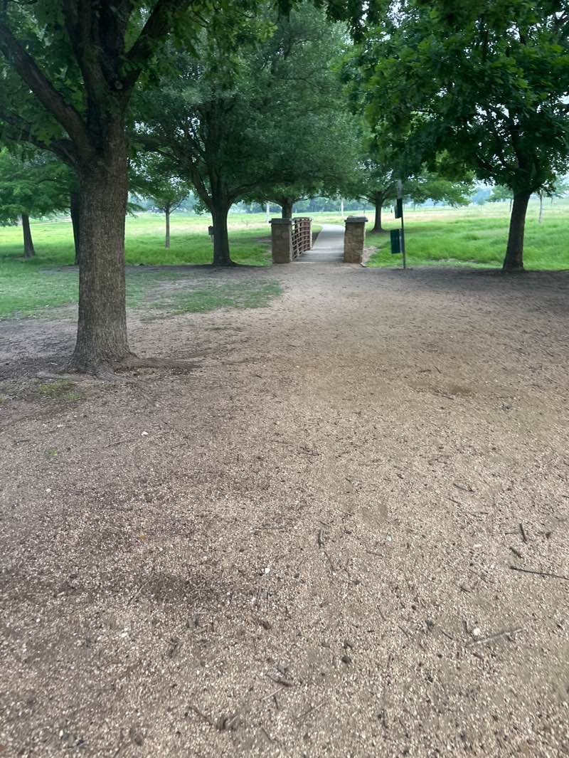 walking near me in Central Park in spring
