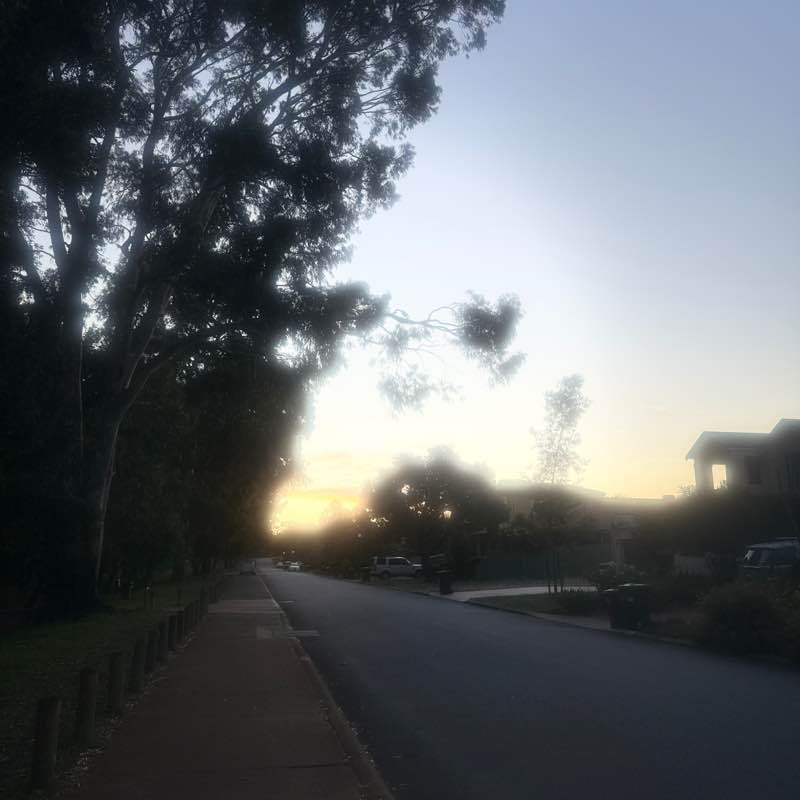 Kinley Gyelmo post 2