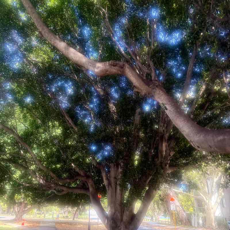 Kinley Gyelmo post 3