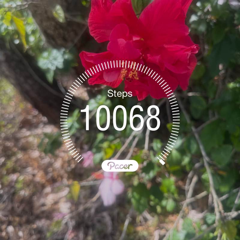 Kinley Gyelmo post 1