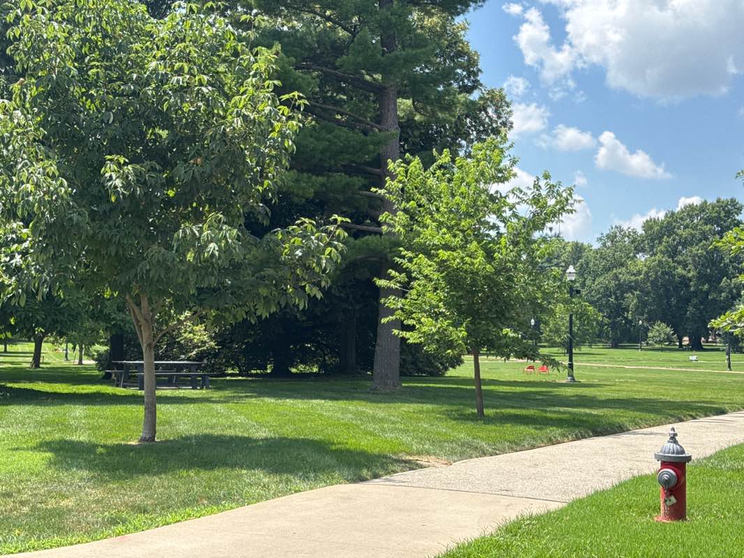 walking near me in The Oval in summer