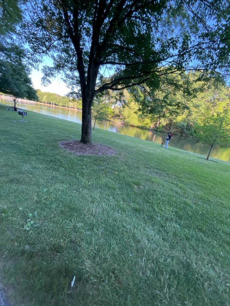 walking near me in Allen Pond Park in winter