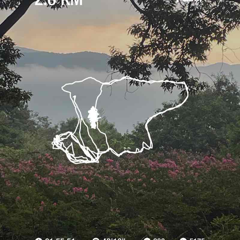 힘차게 날자 post 1