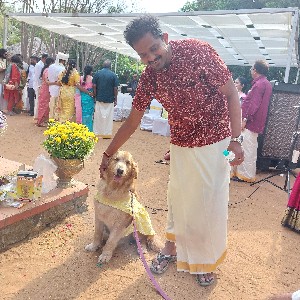 V Dharaneesh profile