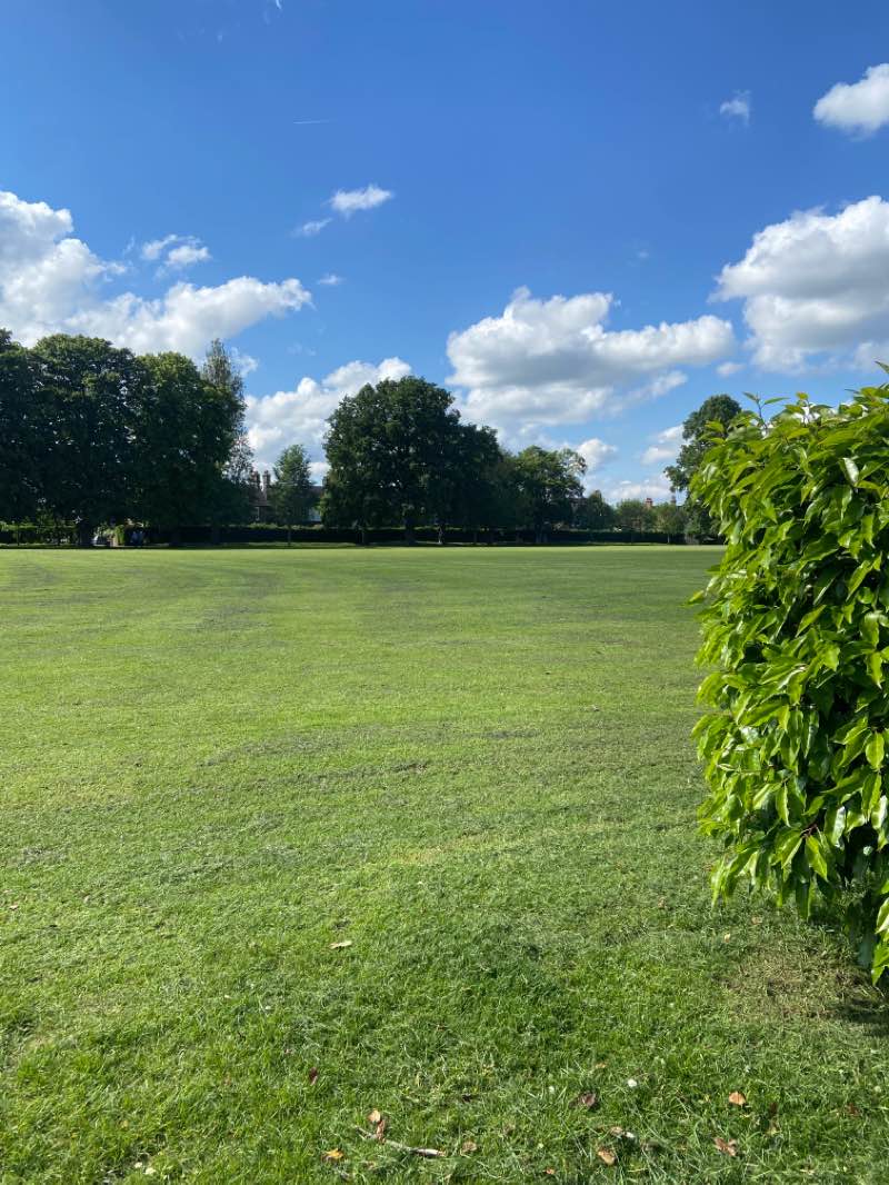walking near me in Albany Park in winter