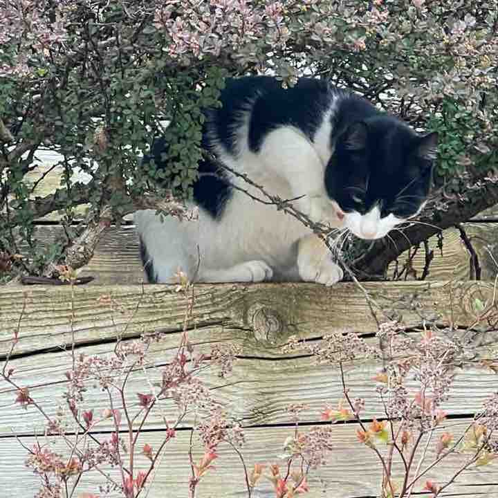 lonelyplanet🪐🌏 post 2