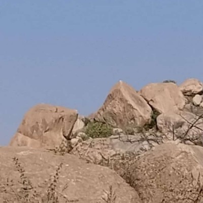 Amigos de Oscar.1965 Vaderhalli 572132 post image