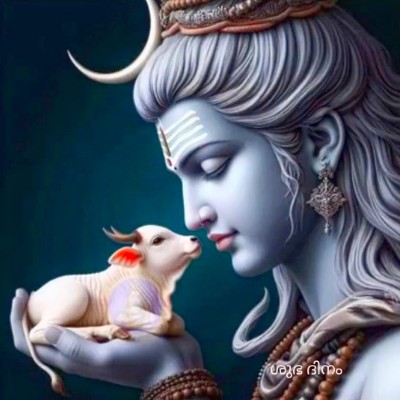 STEPS CHALLENGE Vaderhalli 572132 post image