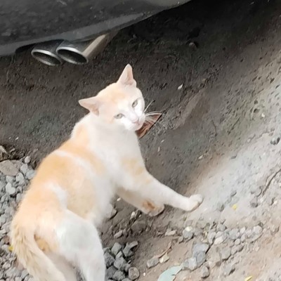 Laufen macht Spaß Vaderhalli 572132 post image