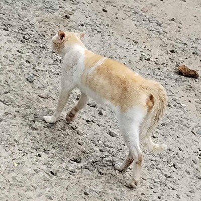 Laufen macht Spaß Vaderhalli 572132 post image