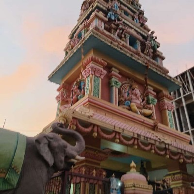 Bavarian City Walkers Vaderhalli 572132 post image