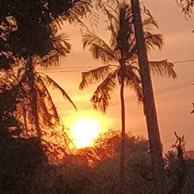 Bavarian City Walkers Vaderhalli 572132 post image