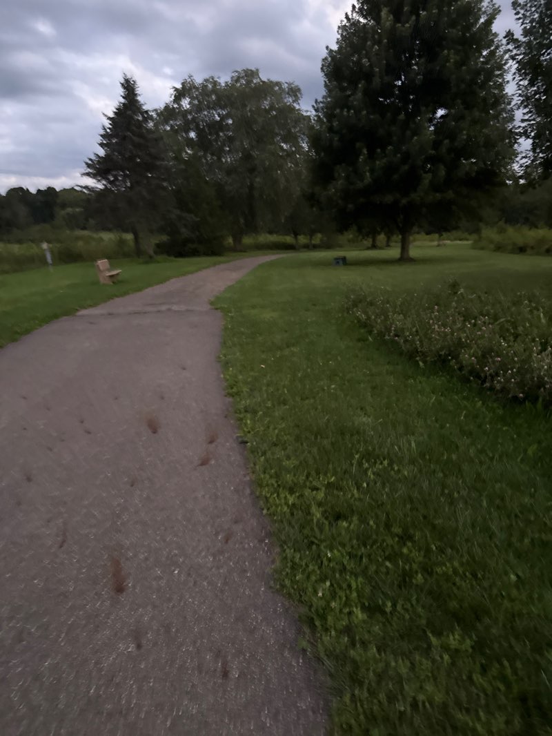 walking near me in Mary C. Metzger Park in summer