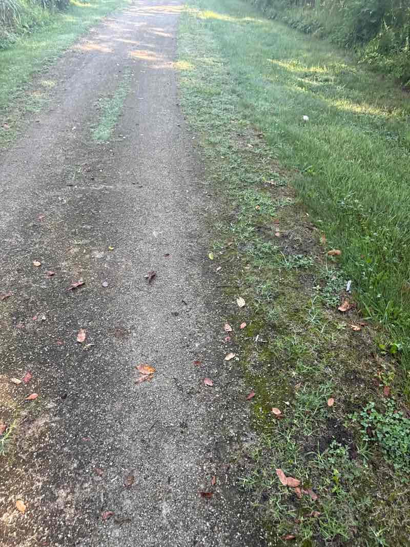walking near me in Stark Parks District Trail in summer