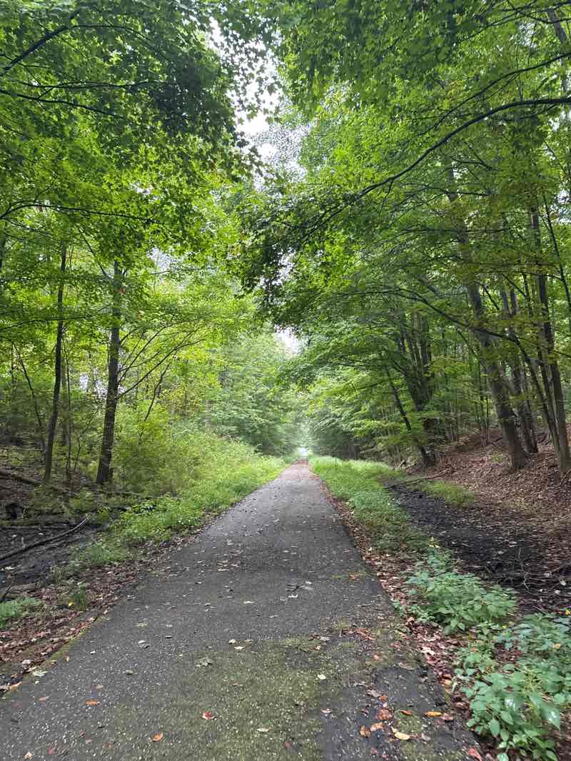 walking near me in Nickleplate Trail (Creston Park) in autumn