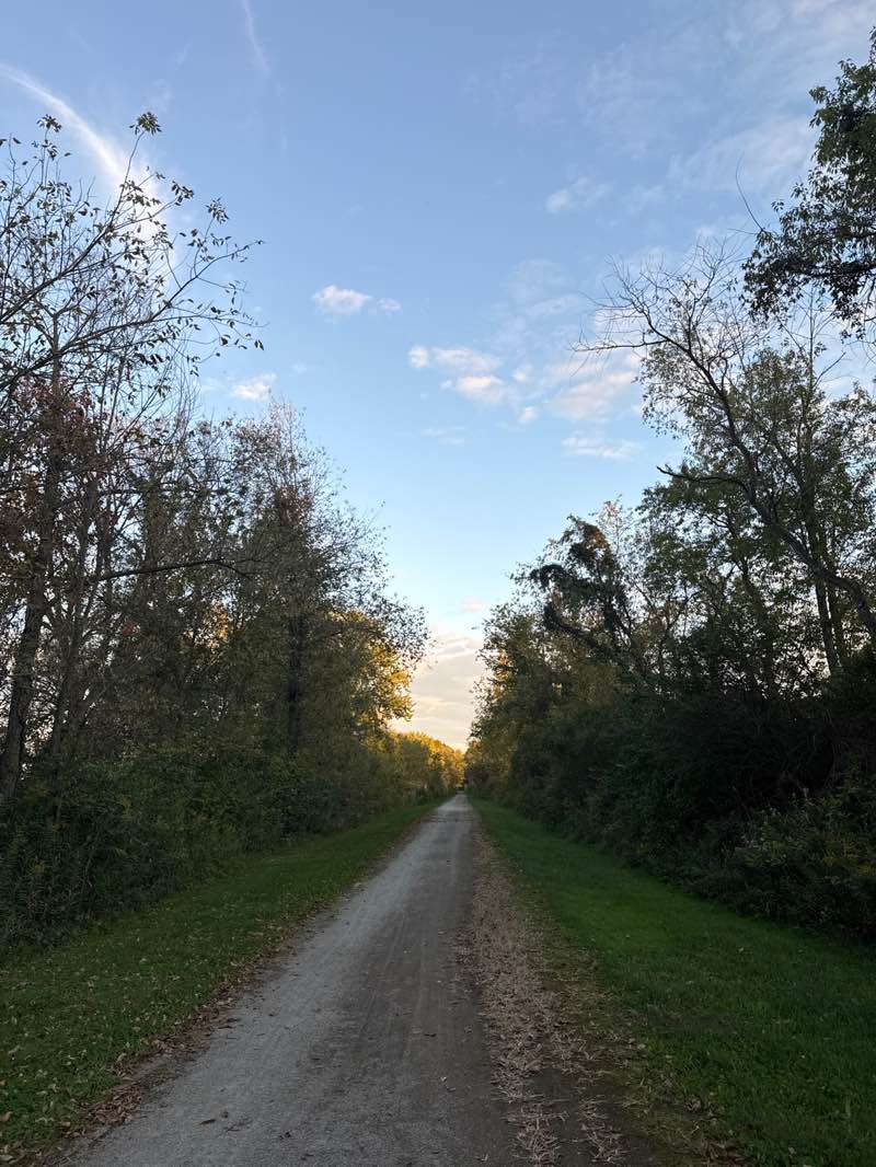 walking near me in Stark Parks District Trail in autumn