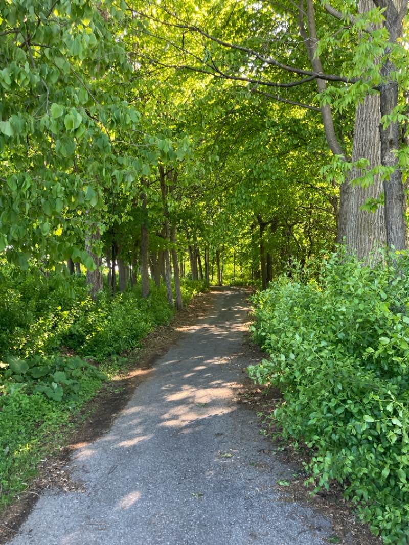 walking near me in Parc Gibson in summer