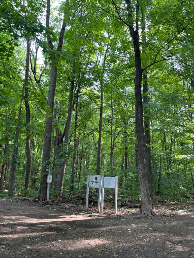 walking near me in Parc-nature du Bois-de-Liesse in winter