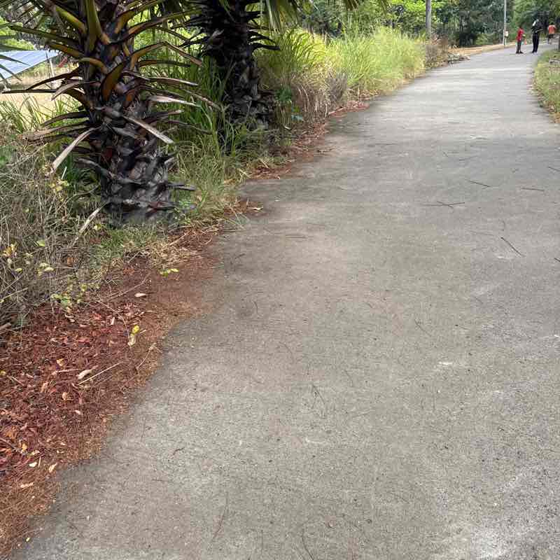 karthik post 1