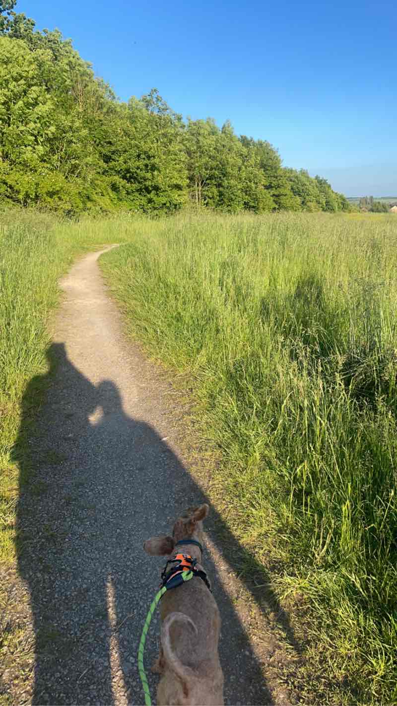 walking near me in The Ranges in winter