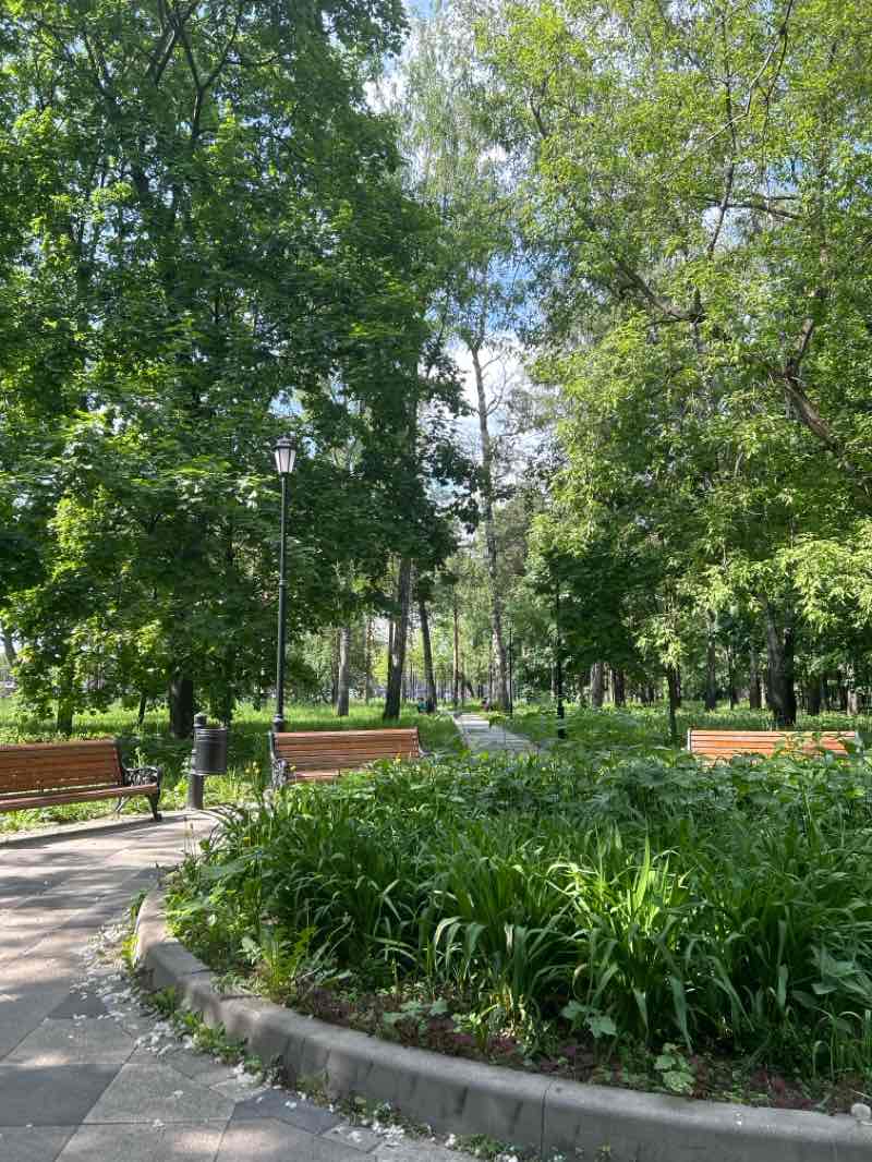 walking near me in Сиреневый сад Л.А. Колесникова in winter