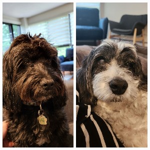 Felipe 😶‍🌫️ profile