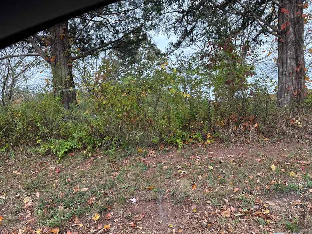 walking near me in Harry Dunham Park in autumn