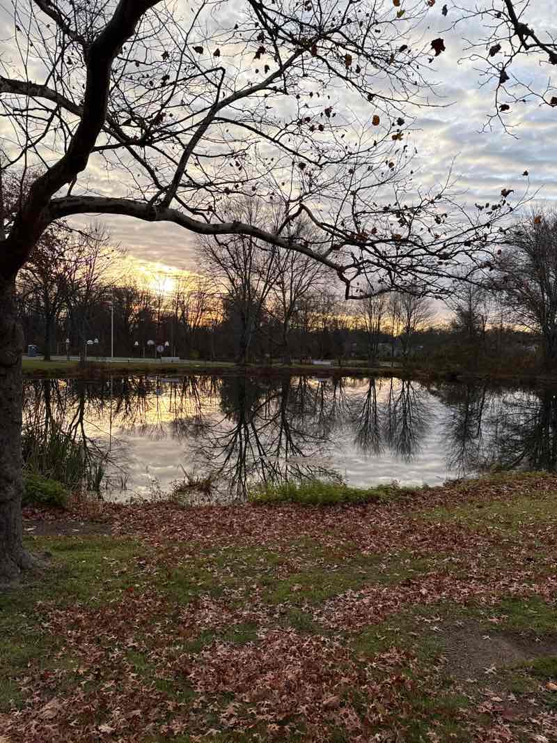 walking near me in Southard park in autumn