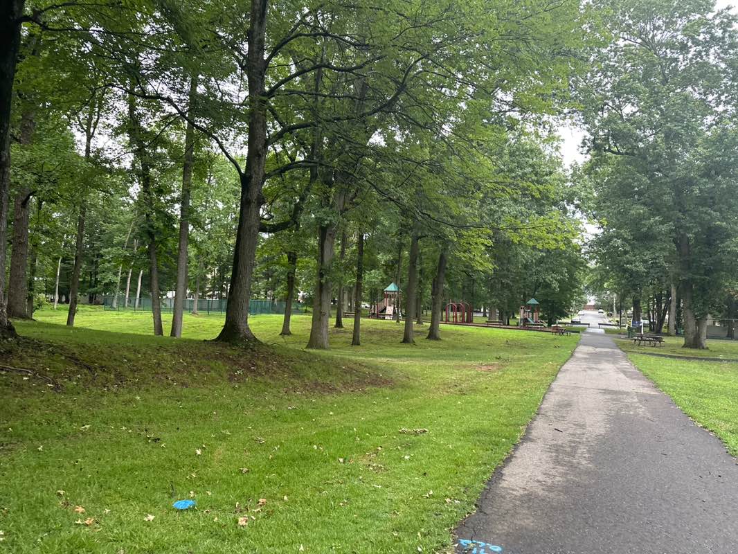 walking near me in Oak Tree Park in summer