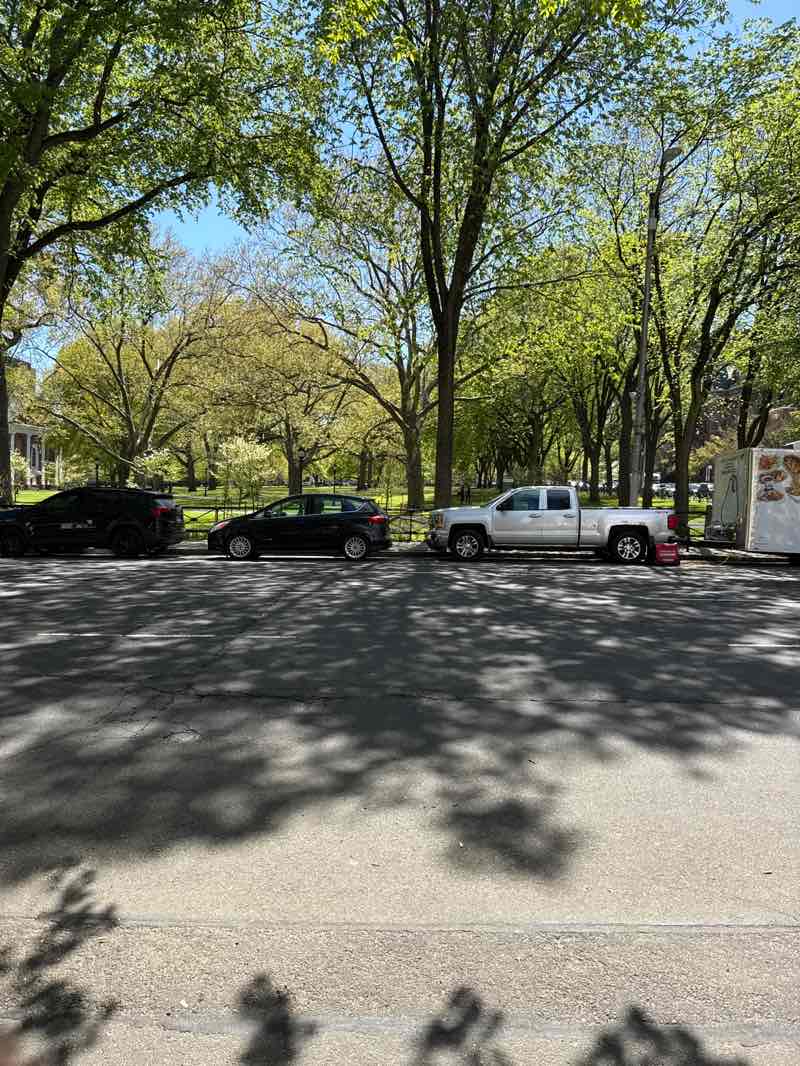 walking near me in The New Haven Green in spring