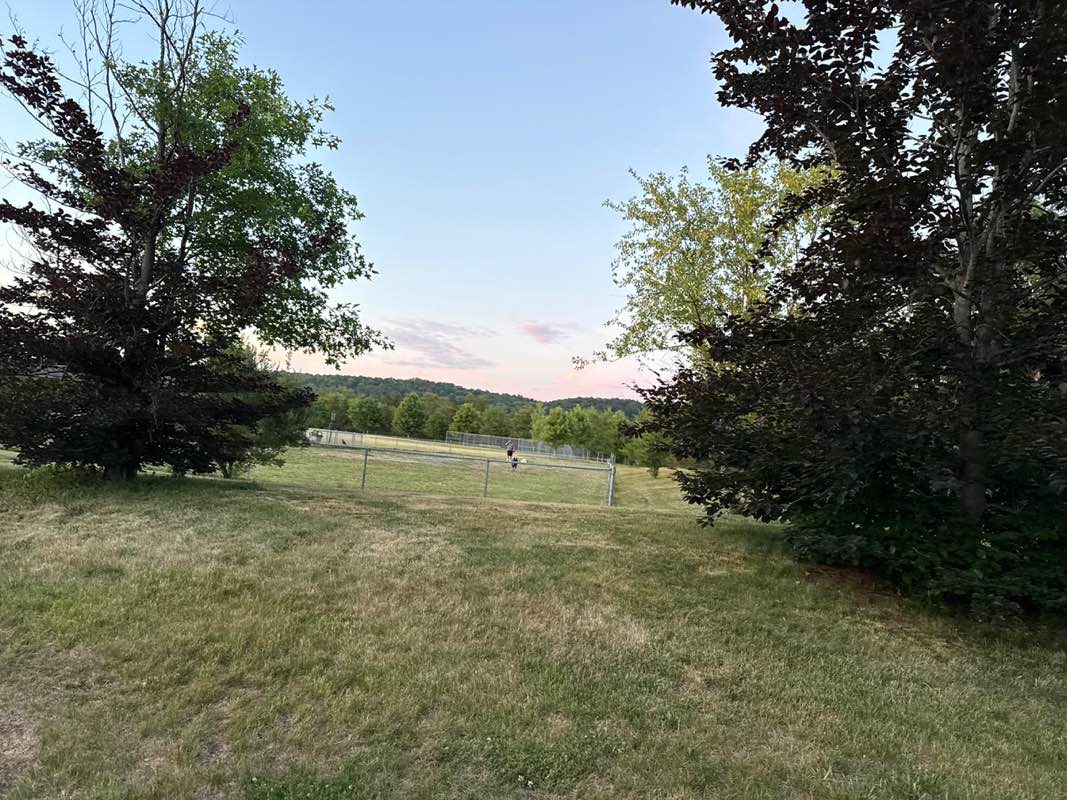 walking near me in Burnt Mills Park in summer