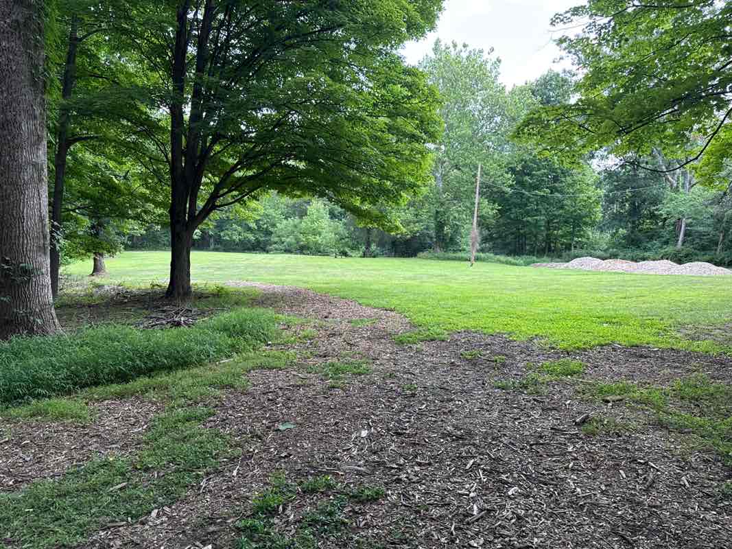 walking near me in Sons of Liberty Farm in summer