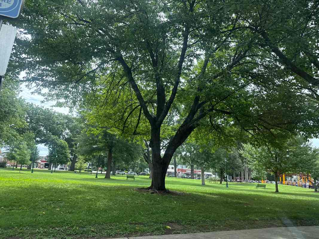 walking near me in Village Green Memorial Day Statue in summer