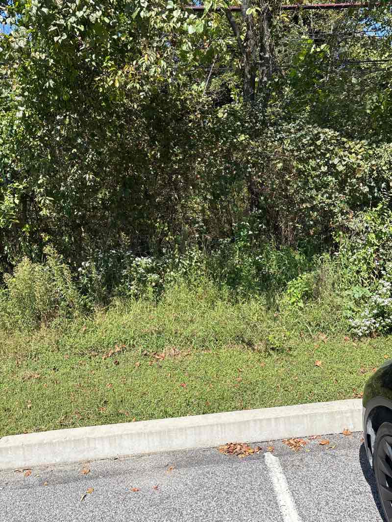 walking near me in M. John Johnson Nature Center in autumn