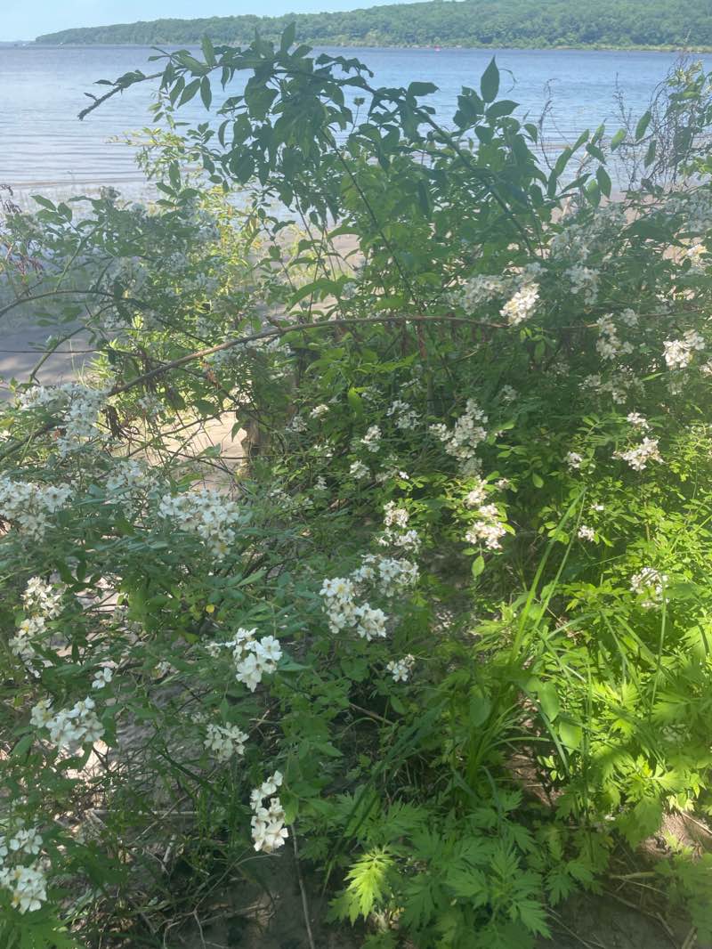 walking near me in Clermont State Historic Site in winter