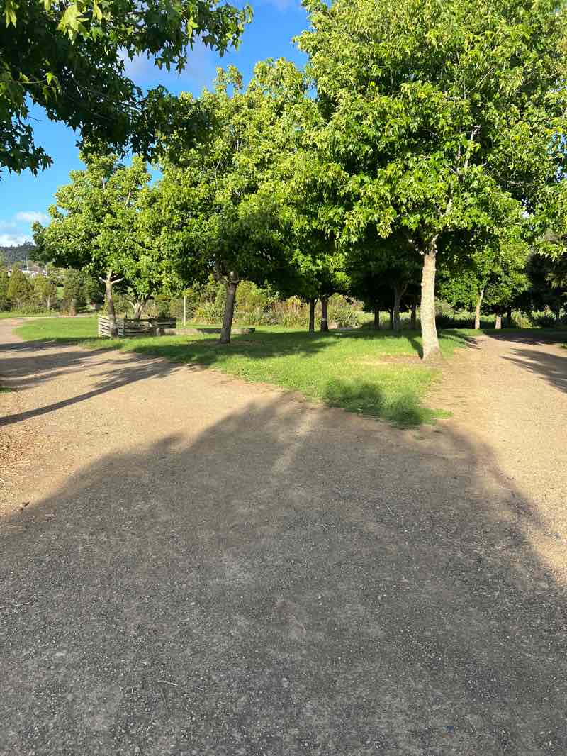 walking near me in Barry Curtis Park in summer