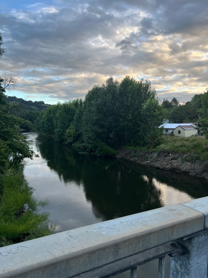 walking near me in Tuhua Domain in summer