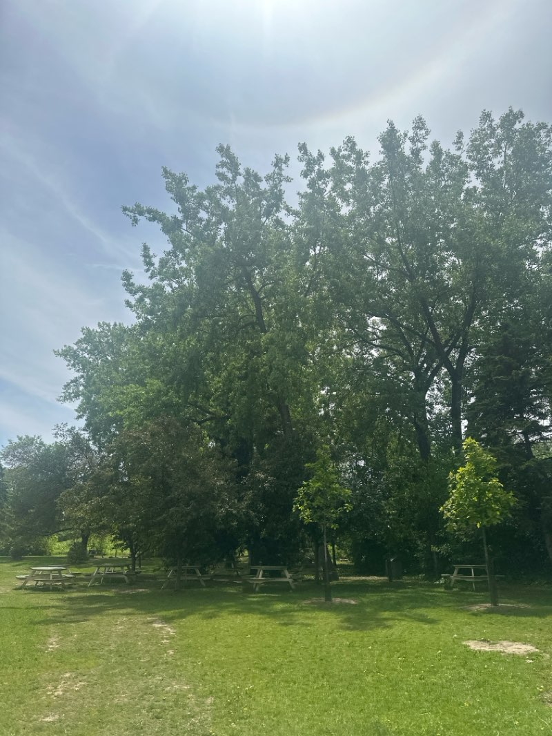 walking near me in Parc-nature du Bois-de-Liesse in summer