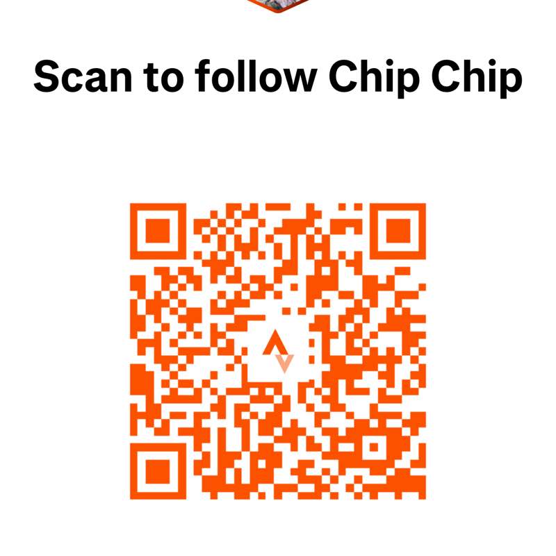 Chip post 1