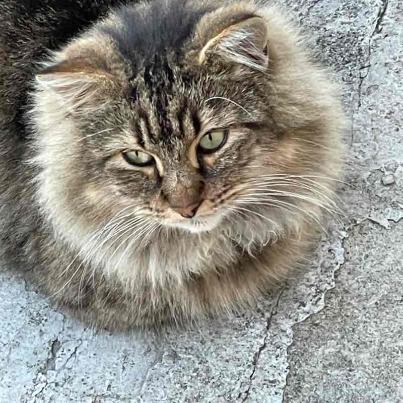 Robert Diperna post 2