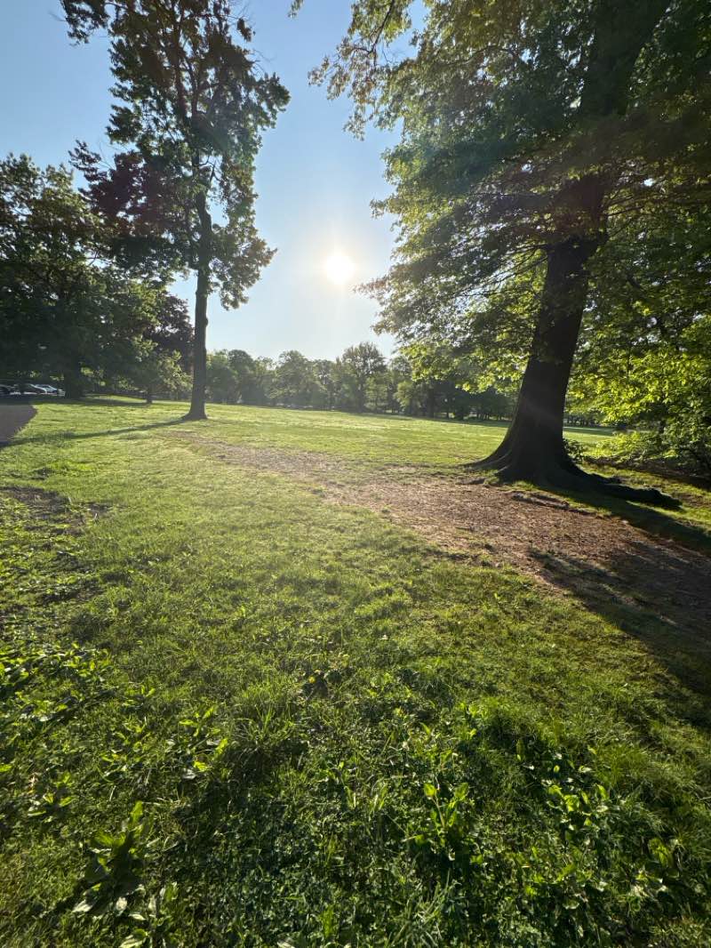 walking near me in Branch Brook Park in spring