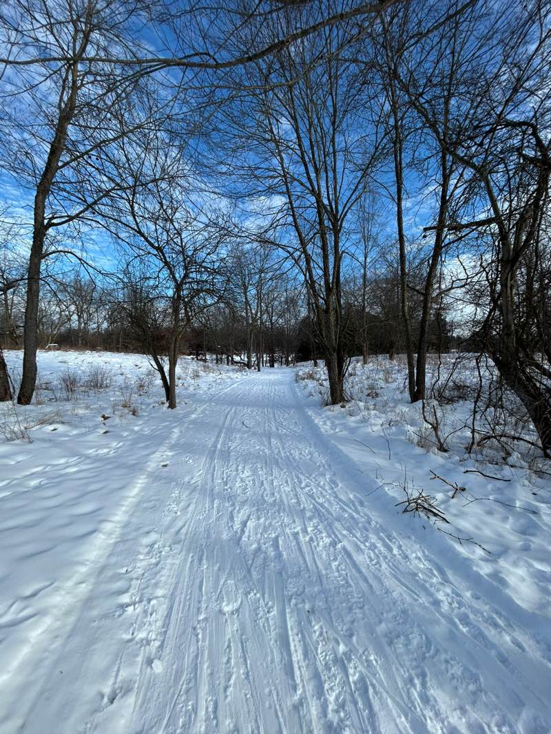 walking near me in Independence Oaks County Park in winter