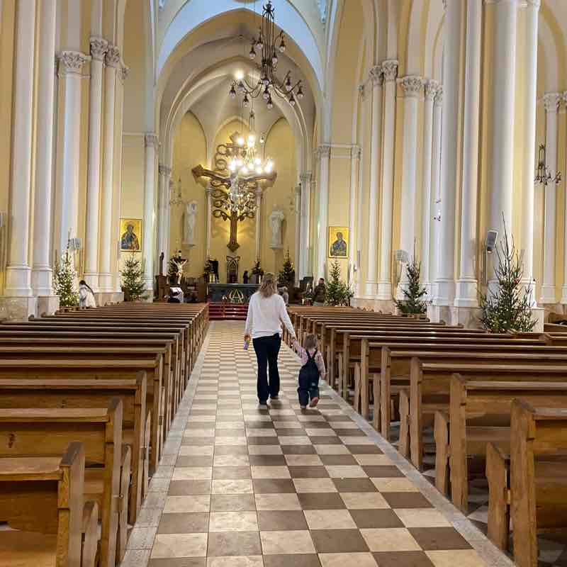 Aussie Pacers Den post image