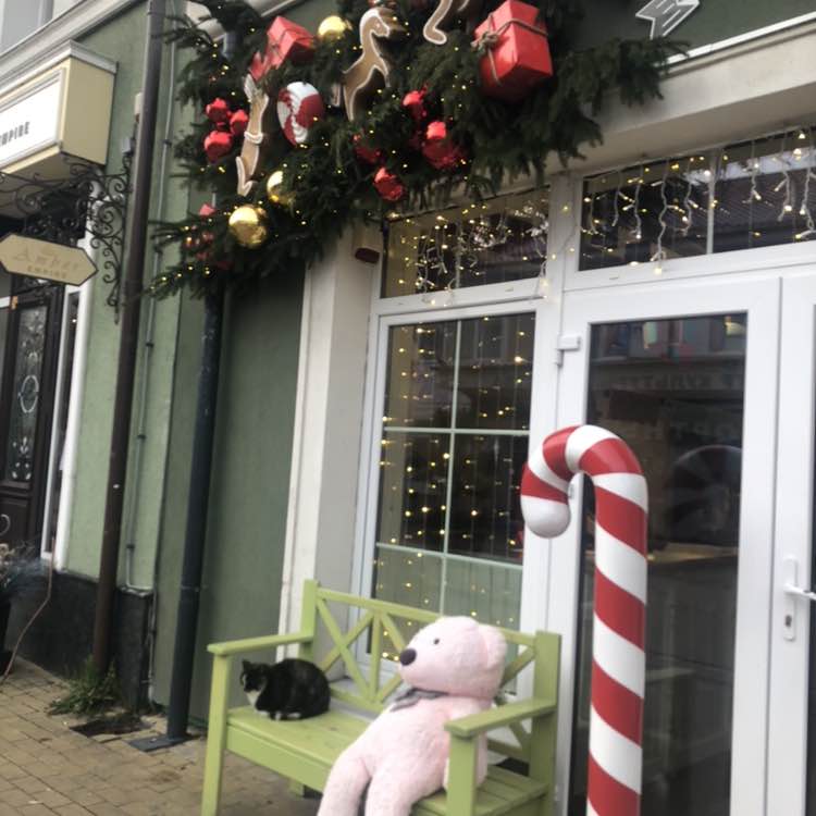 Ходьба от 7 км каждый день Любовь post image