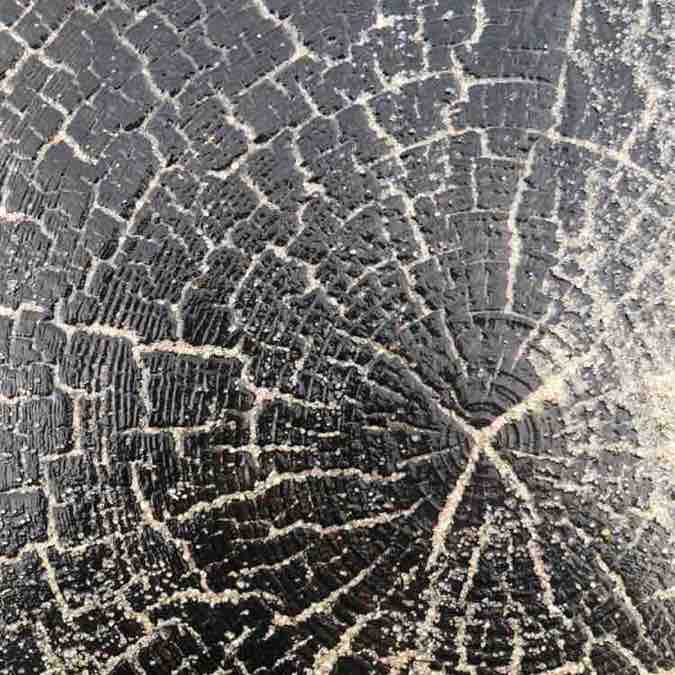 Ходьба от 7 км каждый день Любовь post image